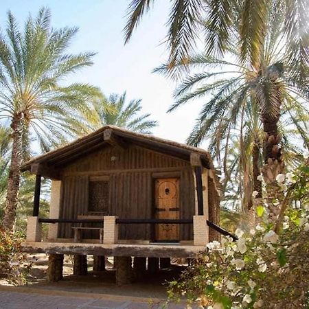 Dar Horchani Tozeur Ngoại thất bức ảnh