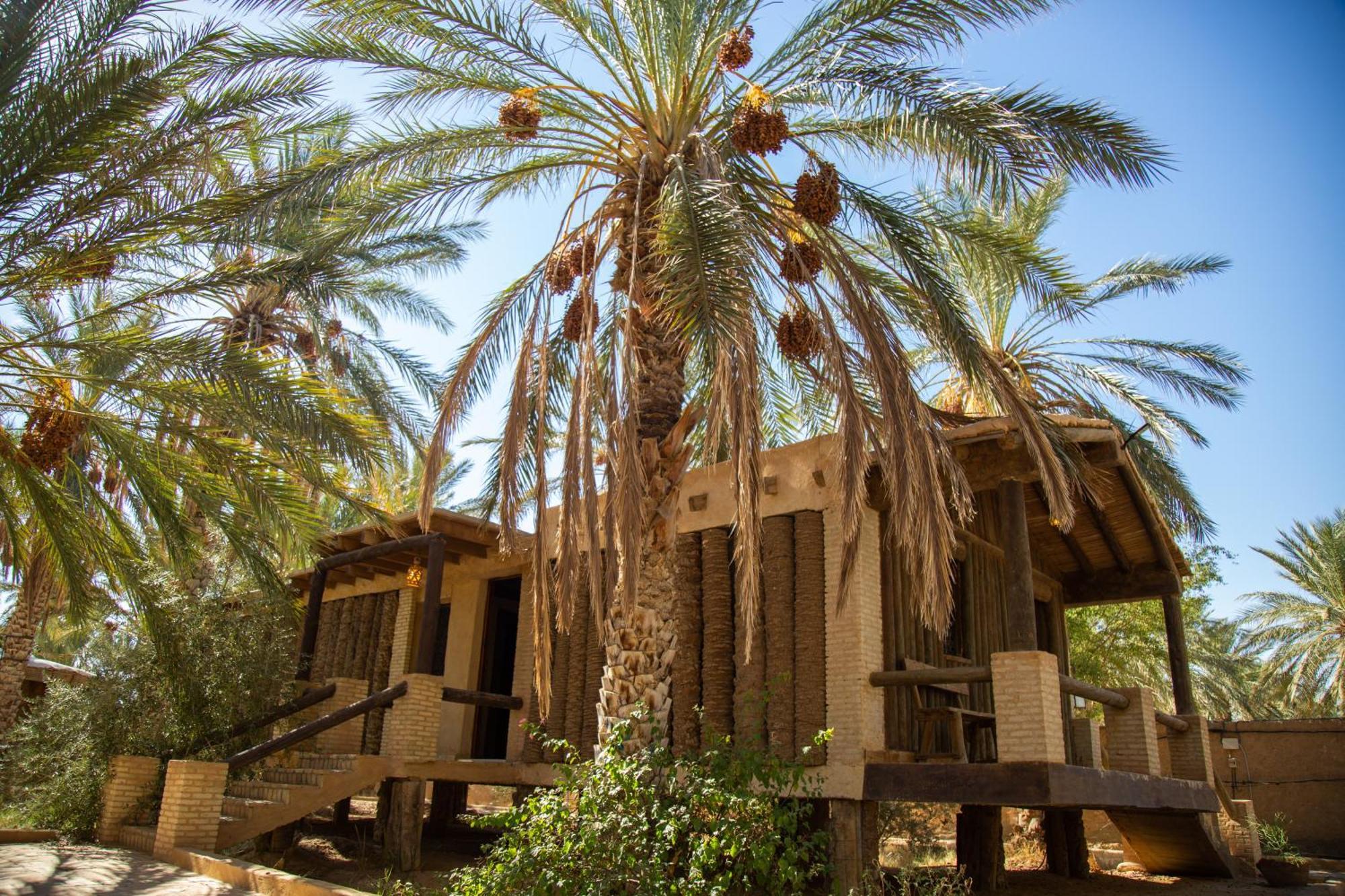Dar Horchani Tozeur Ngoại thất bức ảnh